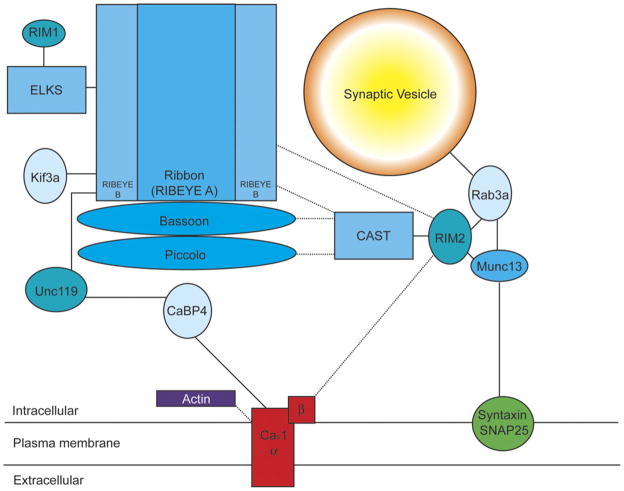 Fig. 2