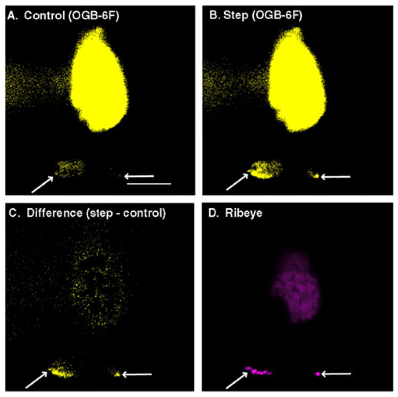 Fig. 1