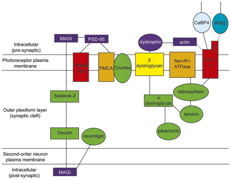 Fig. 3