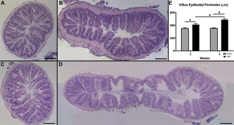 Fig. 3.