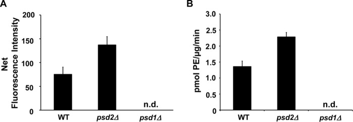 Figure 11.