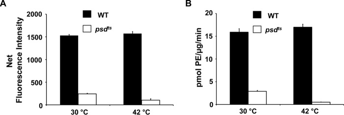 Figure 10.