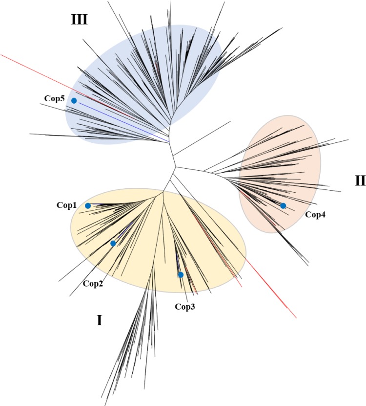 FIG 5