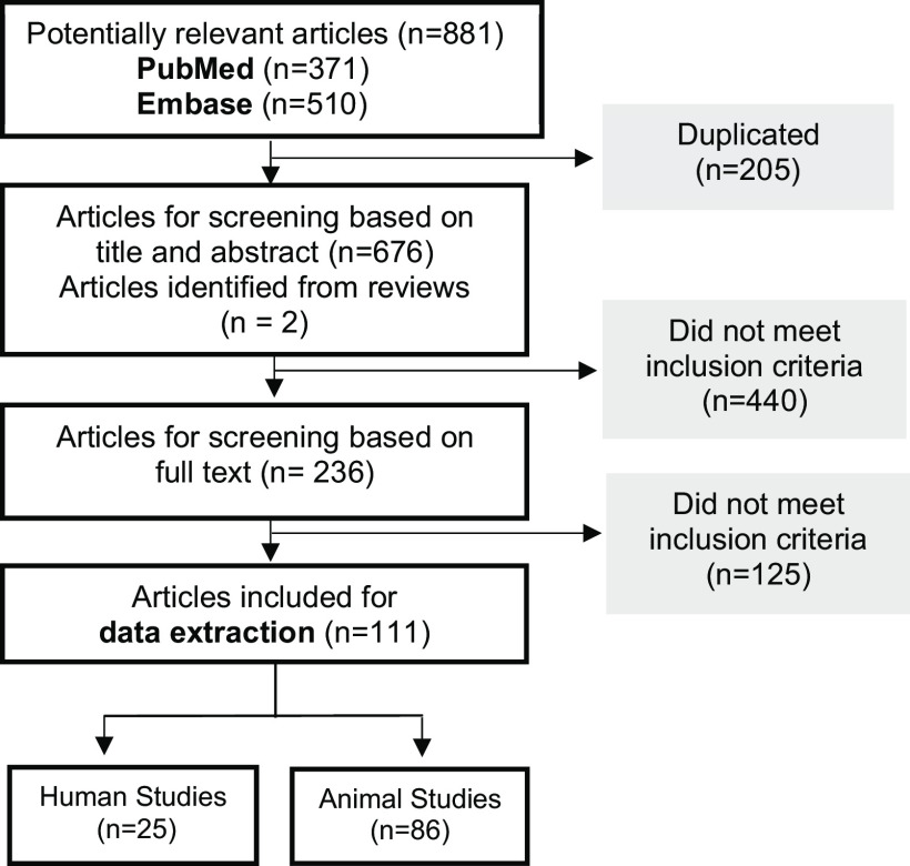 Figure 1 is a flowchart has five steps. Step 1: There are 881 potentially relevant articles, including 371 PubMed, 510 Embase, and 205 duplicated articles were excluded. Step 2: There are 676 Articles for screening based on title and or abstract, 2 articles identified from reviews, and 440 did not meet inclusion criteria. Step 3: 236 articles for screening based on full text and 125 did not meet inclusion criteria. Step 4: 111 articles included for data extraction leads to 25 human studies articles and 86 animal studies articles.