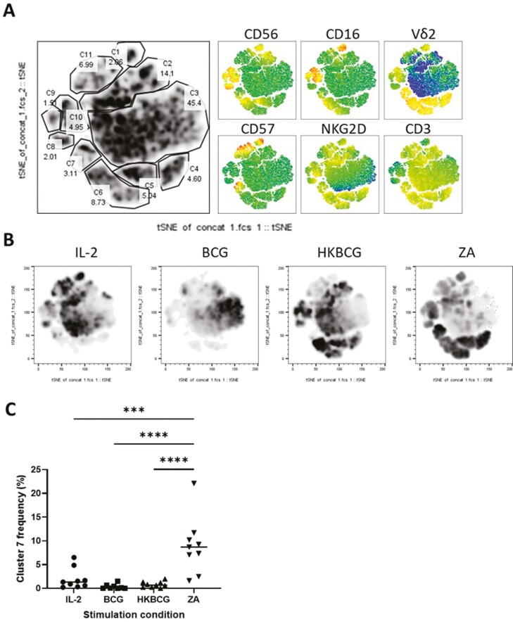 Figure 5: