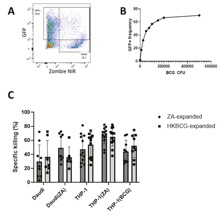 Figure 3: