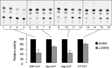 FIG. 7.