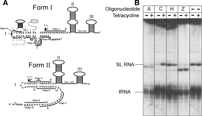 FIG. 5.