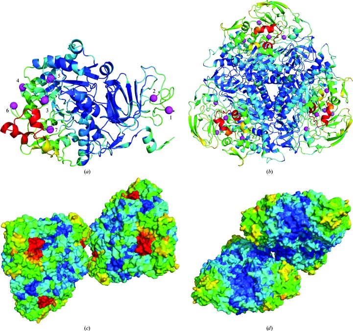 Figure 4