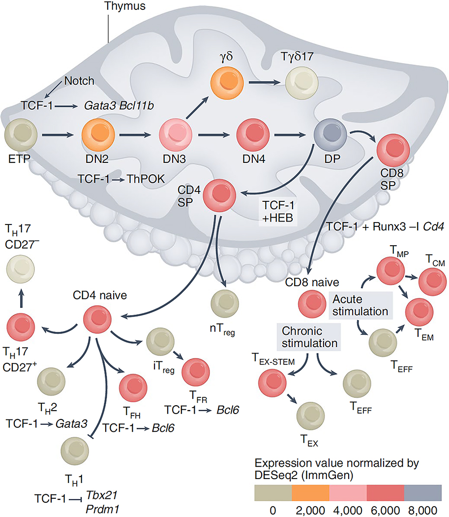 Figure 1: