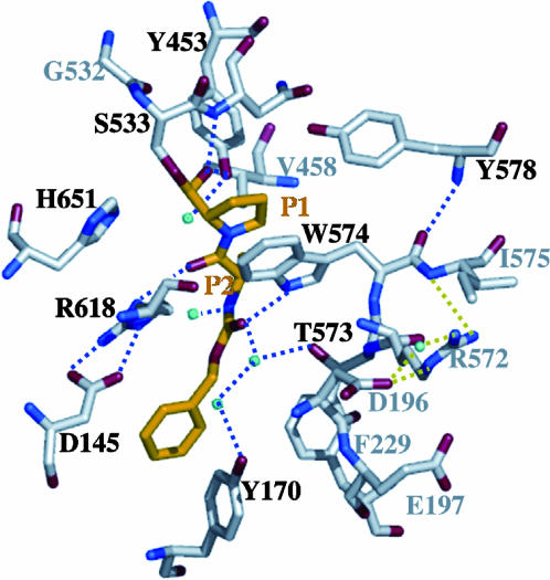 Fig. 2.