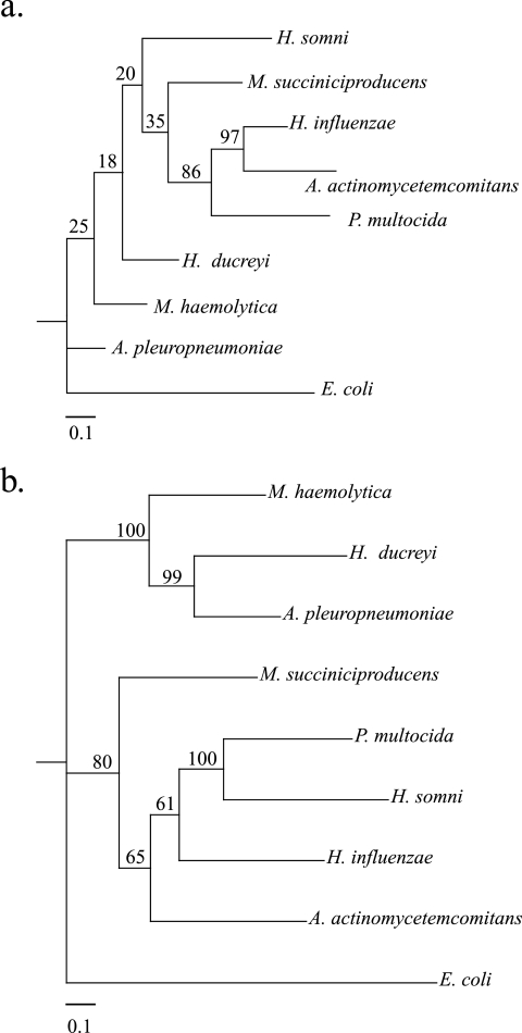 FIG. 5.