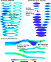 Fig. 3