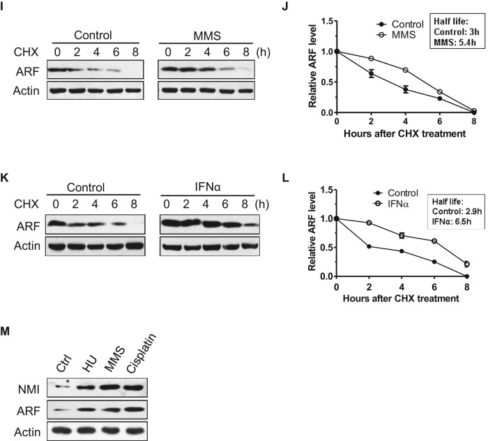 FIGURE 4: