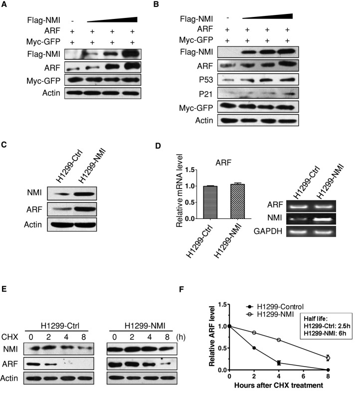 FIGURE 2: