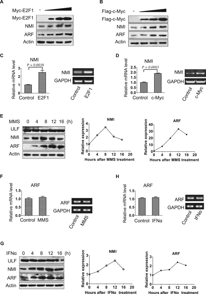 FIGURE 4: