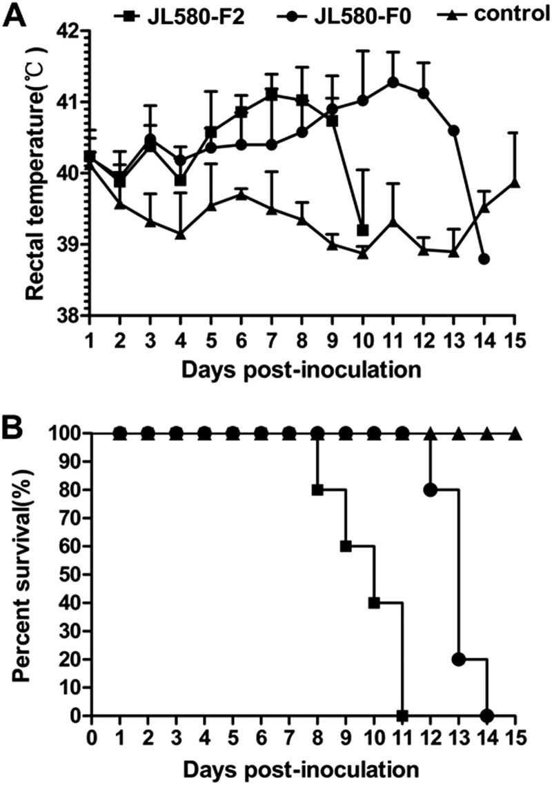 FIG 3