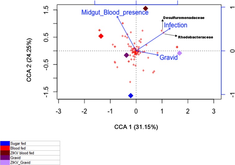 Fig 5