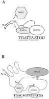 FIG. 9