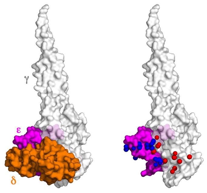 FIGURE 5: