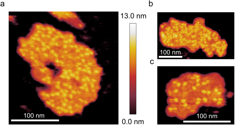 Fig. 2