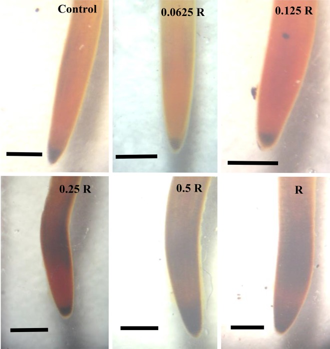 Fig. 4