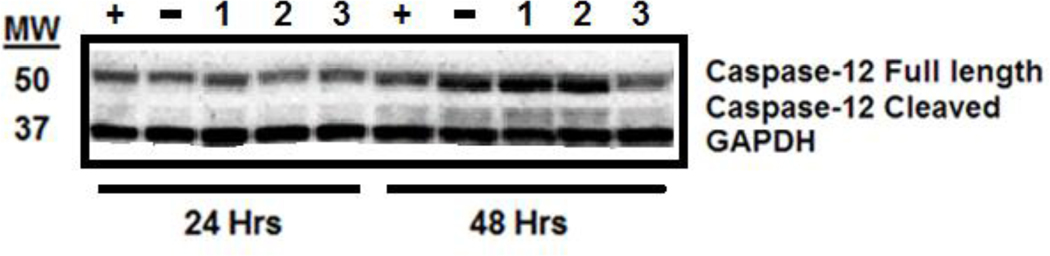 Figure 6: