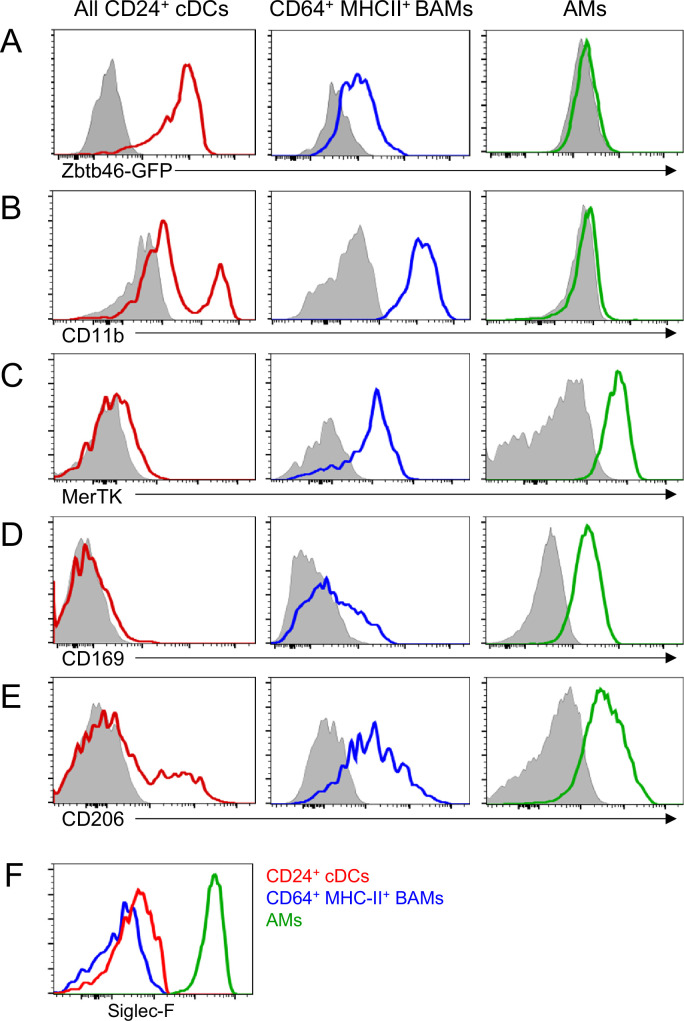 Figure 3—figure supplement 2.