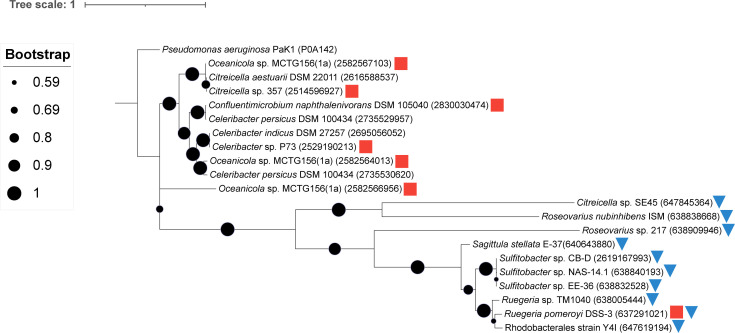 Fig 4