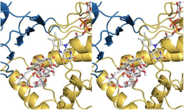 Figure 6