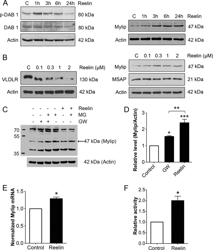 FIGURE 4.