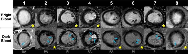 Fig. 4