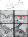 Figure 6.1