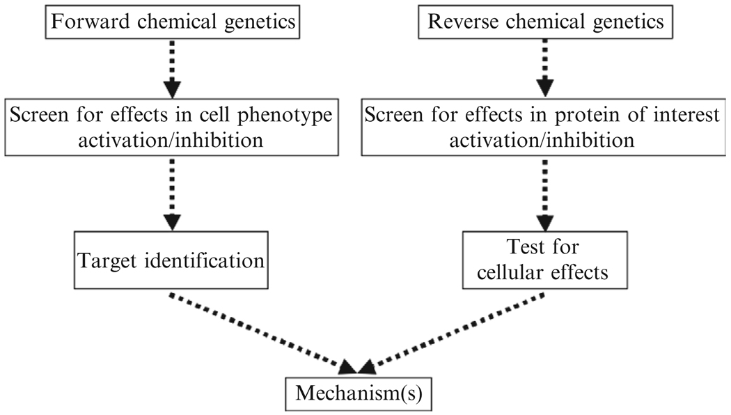 Figure 6.2