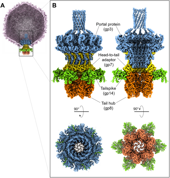 Fig. 1.