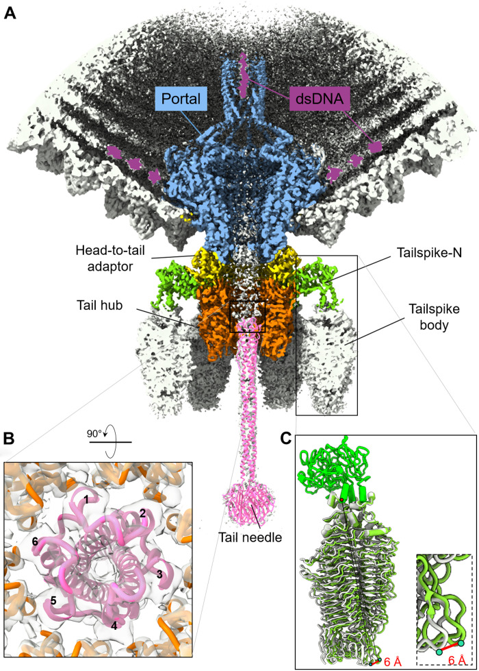 Fig. 8.