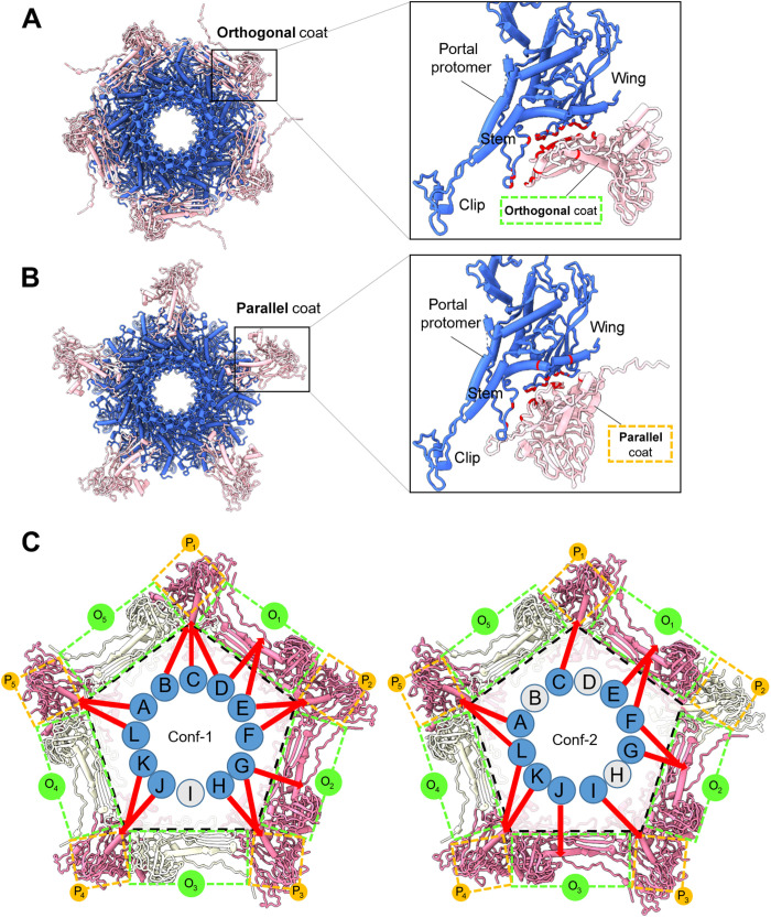 Fig. 7.