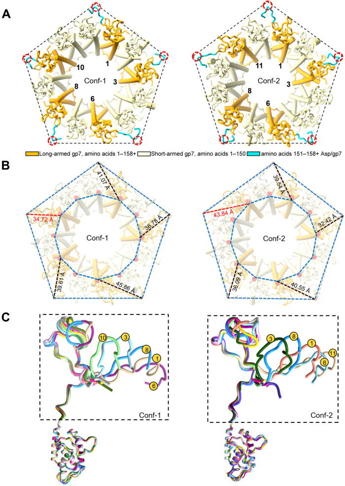 Fig. 6.