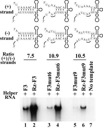 FIG. 8.