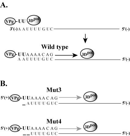 FIG. 12.