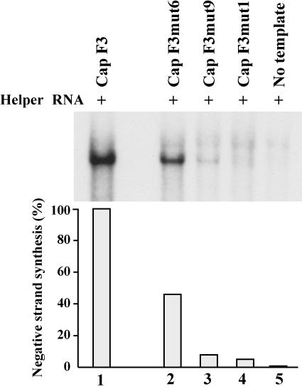 FIG. 5.