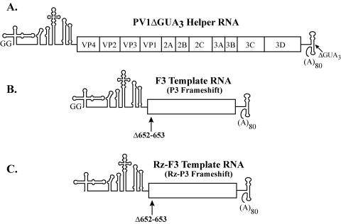 FIG. 2.