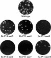 FIG. 11.