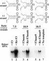 FIG. 8.