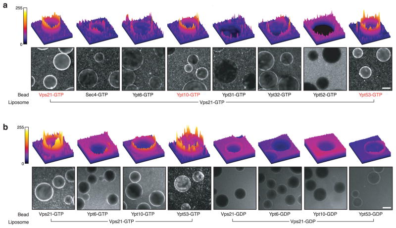 Fig. 6