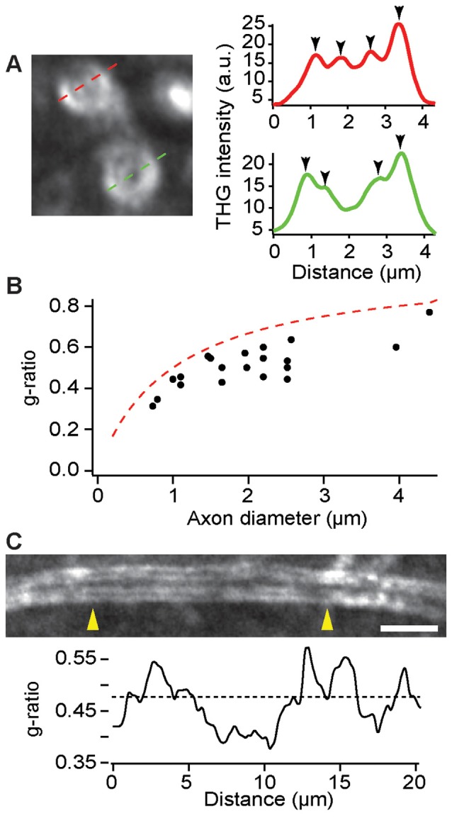 Figure 5