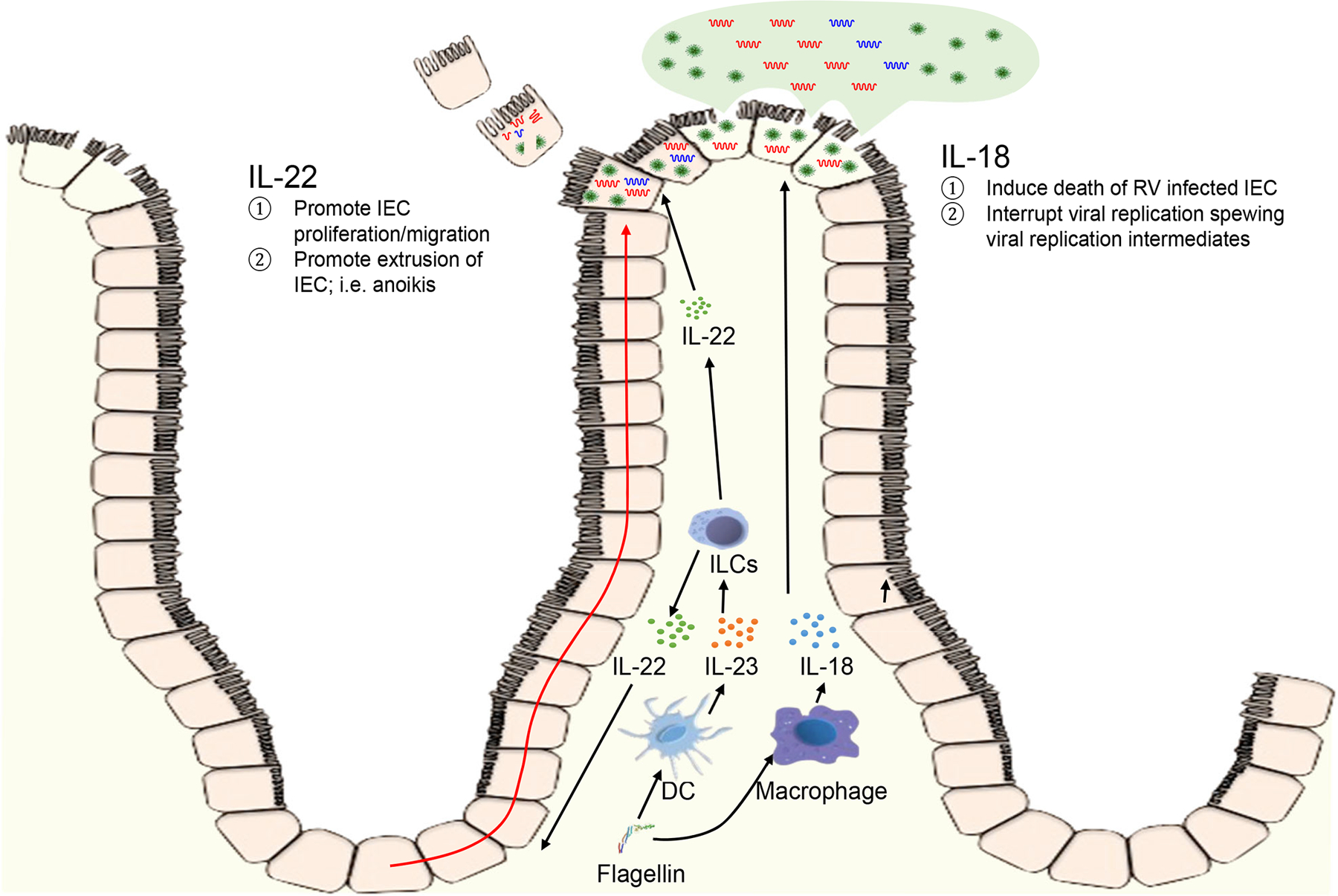 Fig. 8.