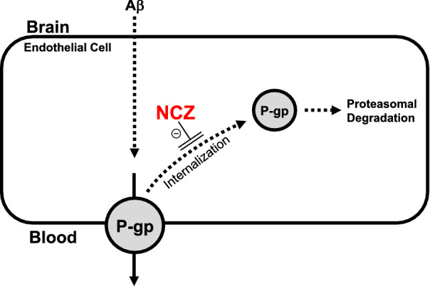 Fig. 7