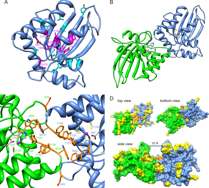 FIG. 6.