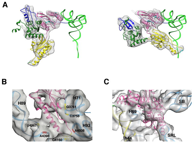 Figure 7